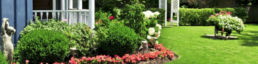 éliminer les moustiques du jardin