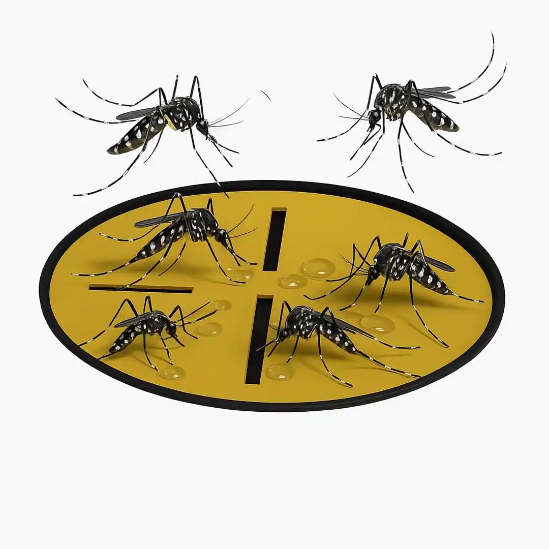 Piège à moustiques écolo