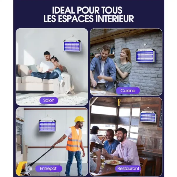 lampe anti-insectes mîtes mouches moustiques